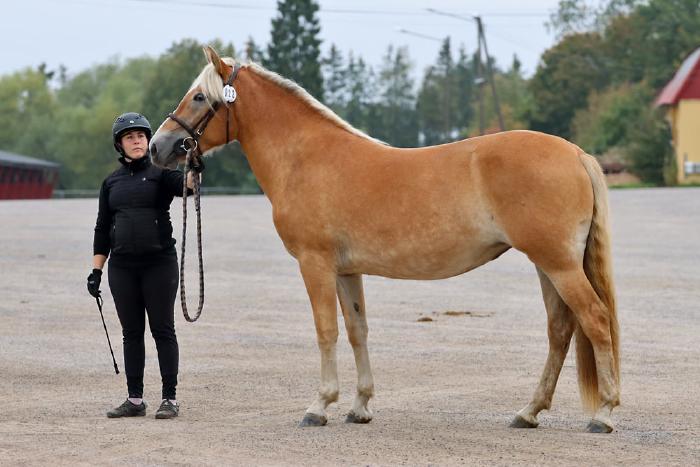 Jekkulan Himppu - Kuva: Leena Kahisaari