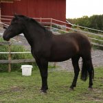 Kuva: Eila Puhakka