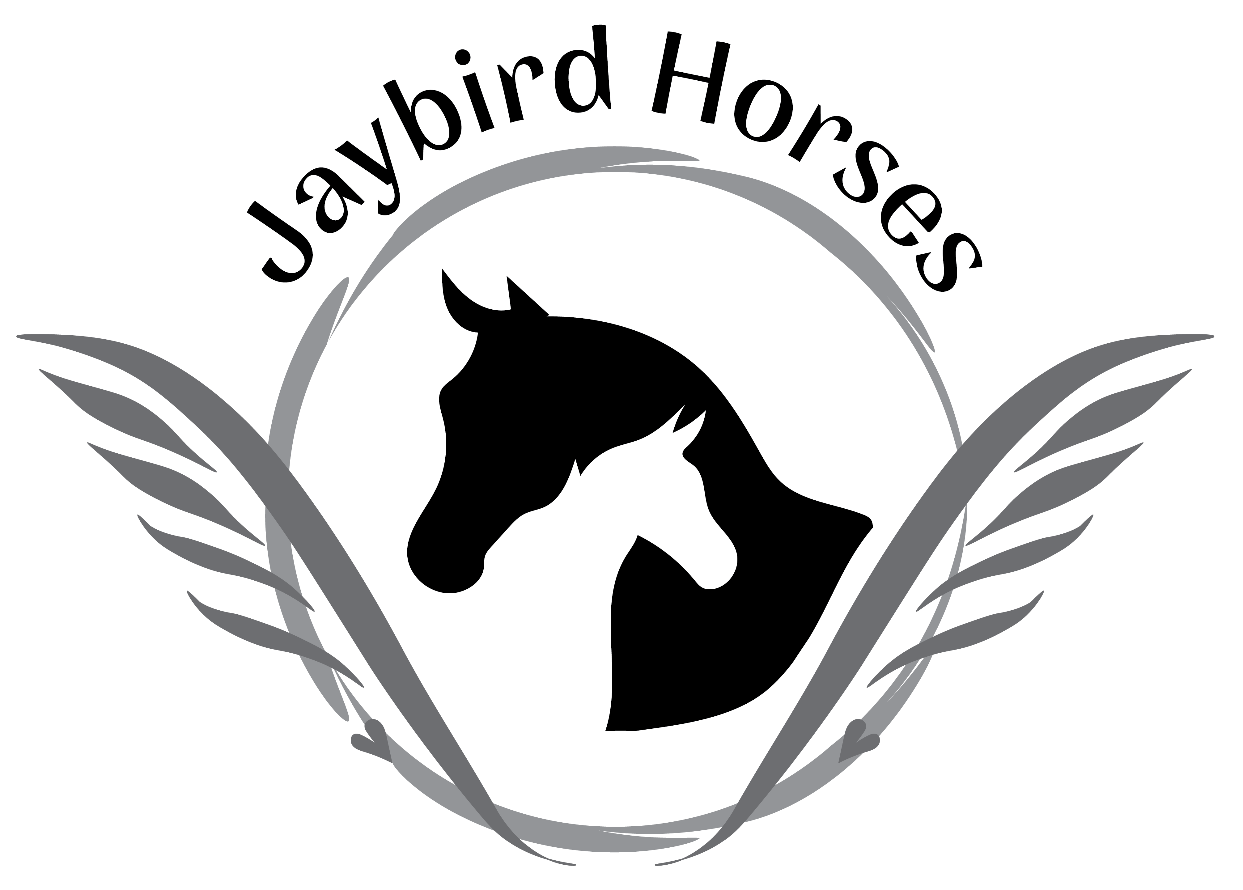 Jaybird Horses